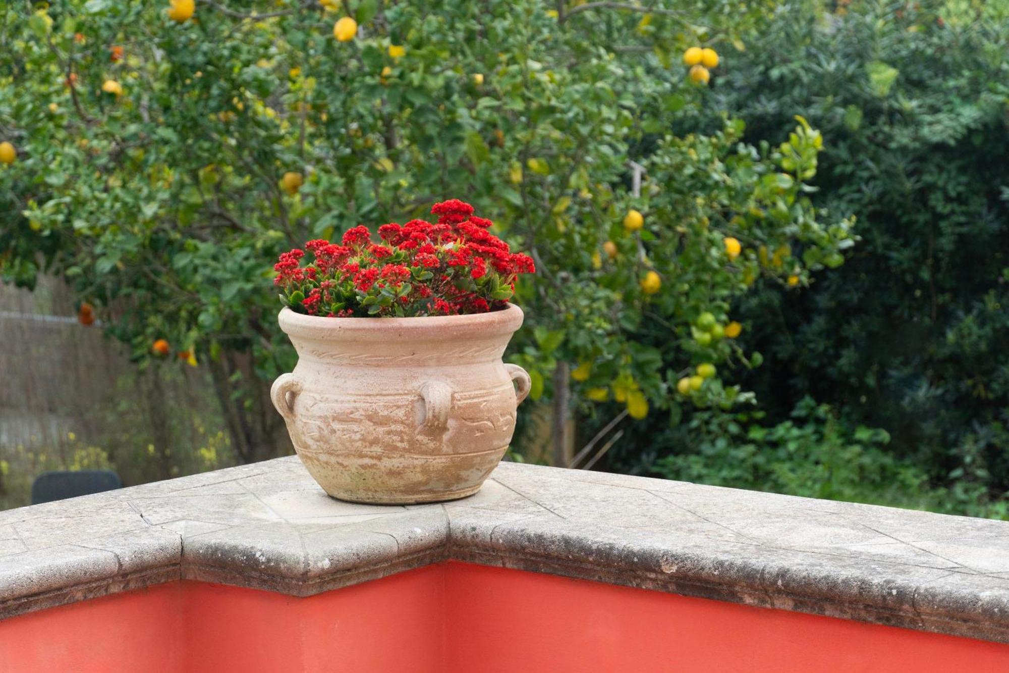 La Terrazza Sul Giardino Procida Exterior foto